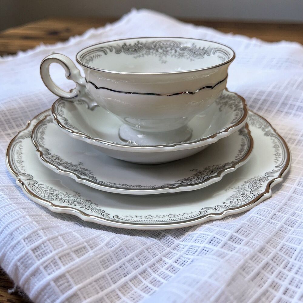 Hutschenreuther 4 pc Tea Service Sylvia Platinum Rimmed Heidelberg Lorelei Mint